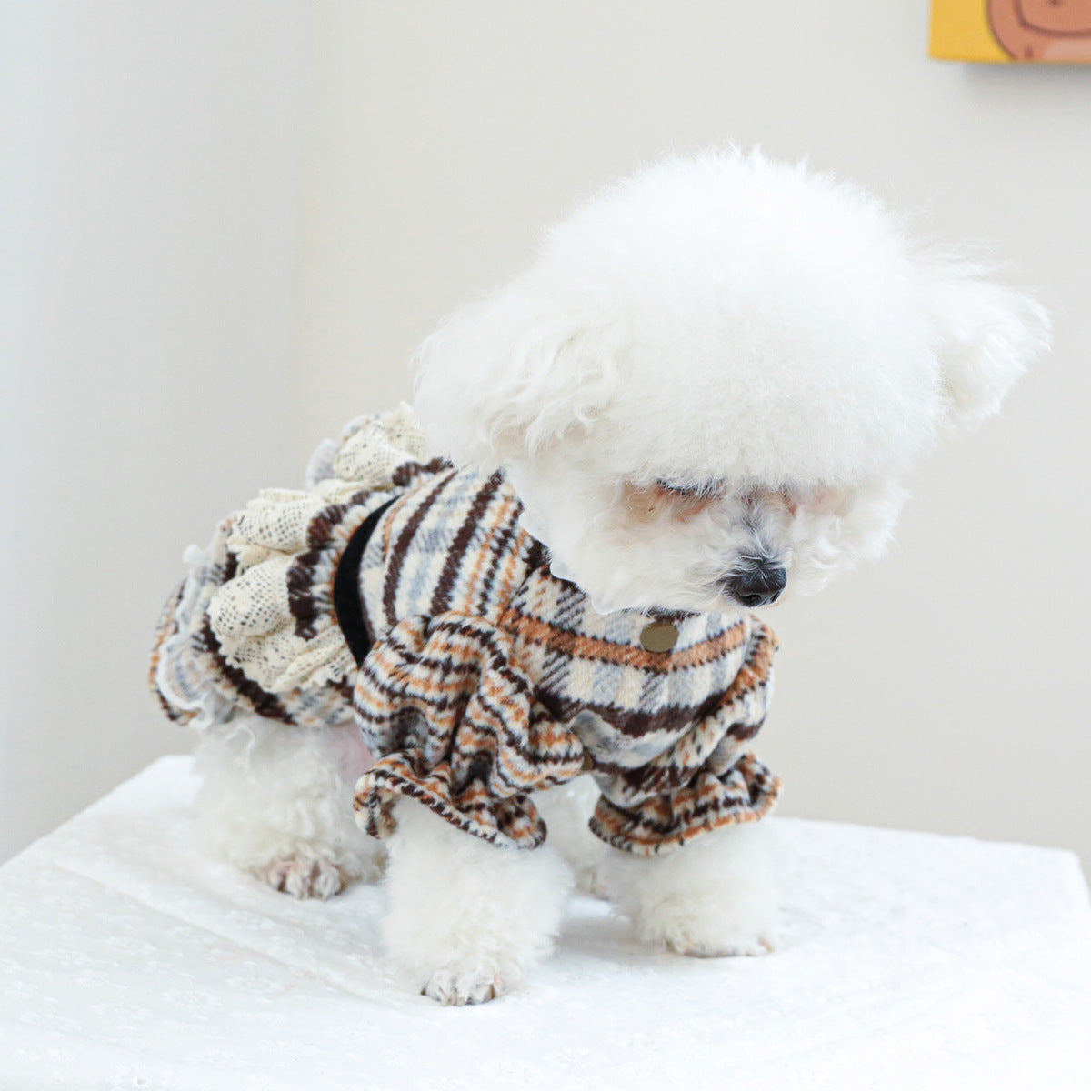 Pet Clothes Dog Cat Clothing Clothing Autumn And Winter Maillard Woolen Skirt