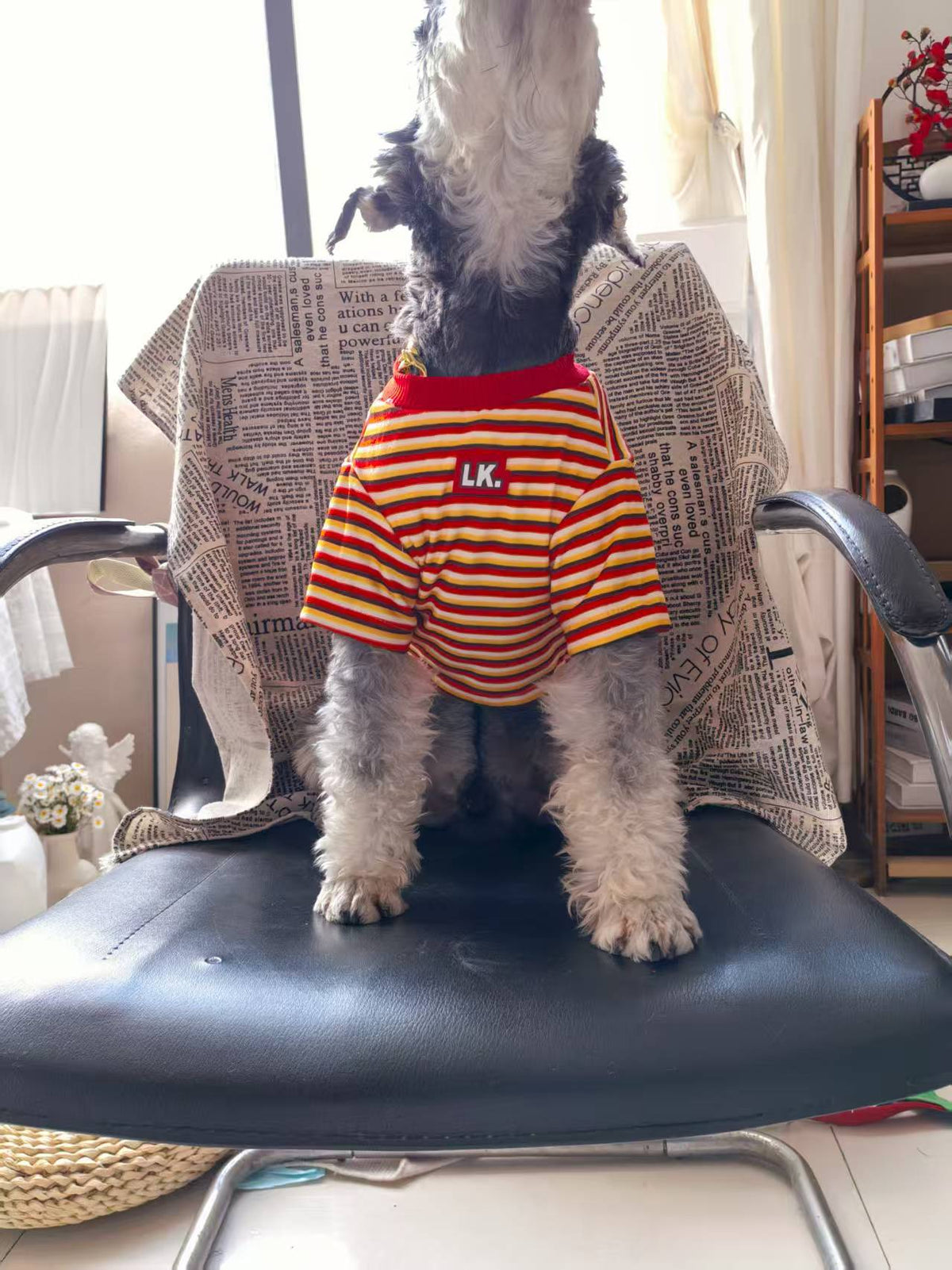 Pet Clothing Warm Cute Striped