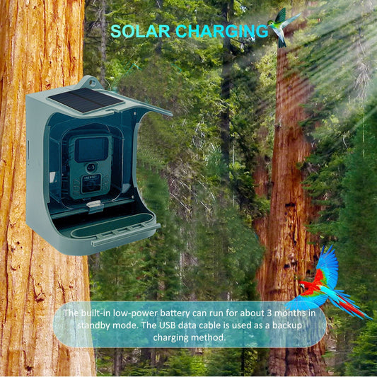 Bird Feeder Infrared Camera Bird Watching Wireless Outdoor Automatic