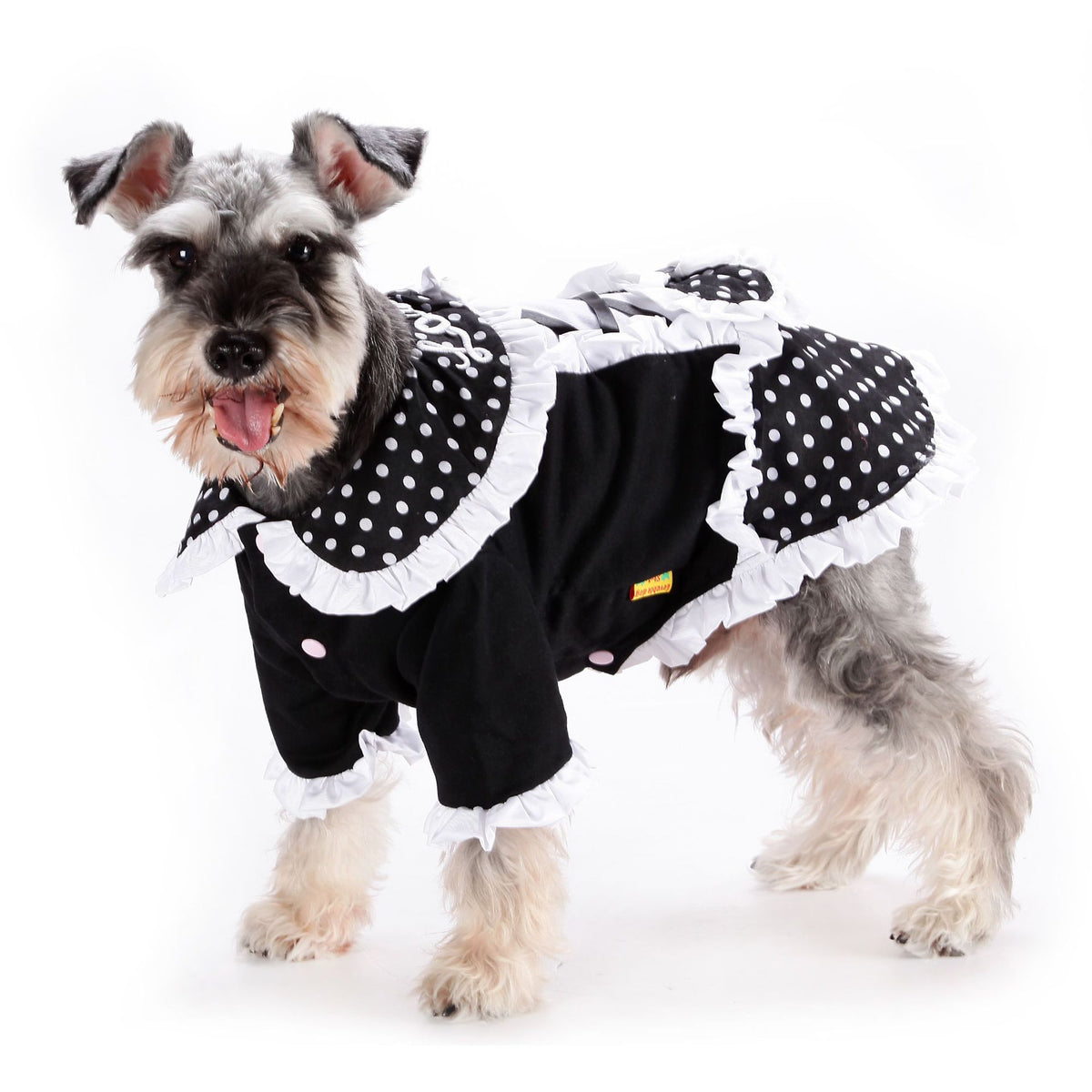 Casual Lolita Princess Dress Pet
