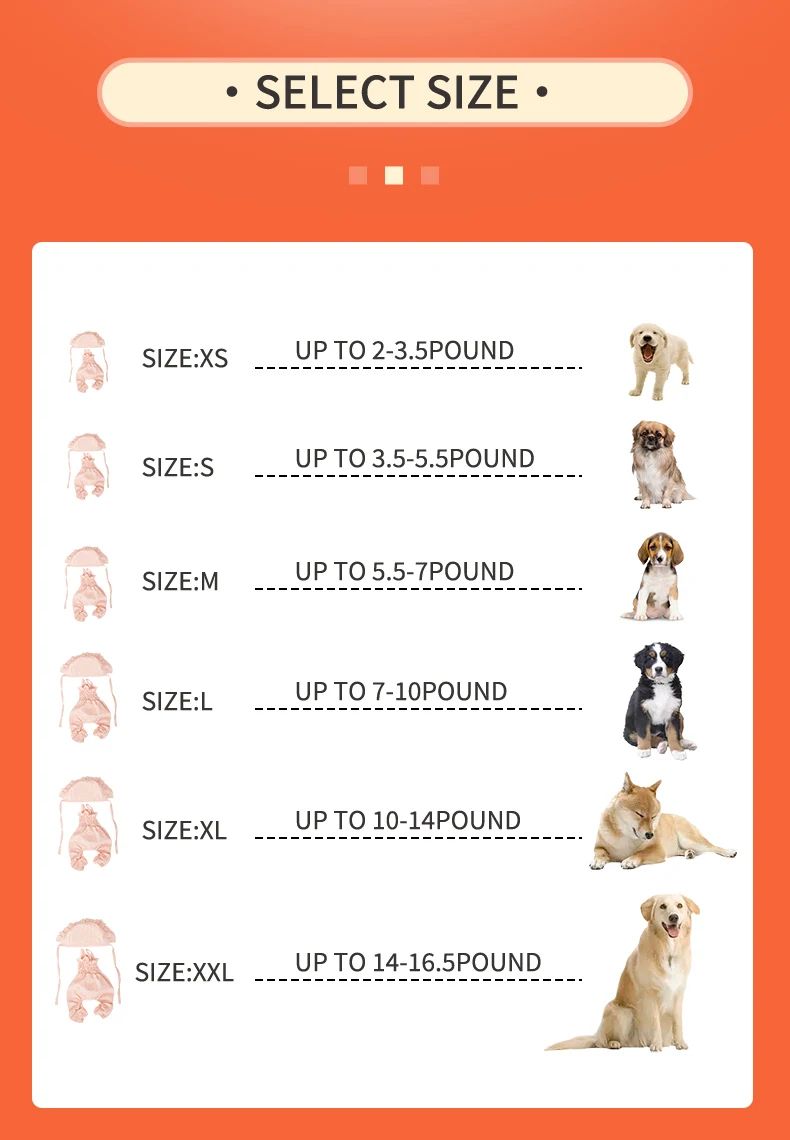 Dog Clothes Set Orange Pet Jumpsuit With Hat Fashionable Outfit For Puppy Summer Outdoor Clothing Pet Cat Yorkies Chihuahua