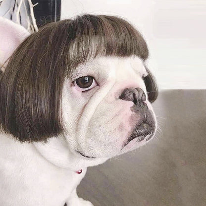 Wig Pretty Pet  Head