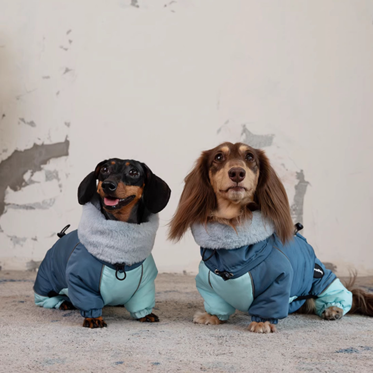 Dachshund Autumn and Winter Thick Warm Four-Leg Cotton-Padded Jacket - Pet Clothing