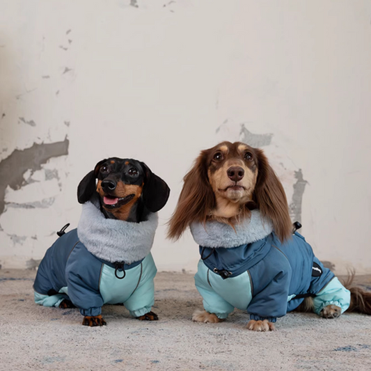 Dachshund Autumn and Winter Thick Warm Four-Leg Cotton-Padded Jacket - Pet Clothing