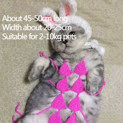 Funny Cat Clothes Cosplay Cat Bikini Sexy Pet Underwear Cat Bra Halloween Dress Pet Bikini Clothing Festival Party Clothing