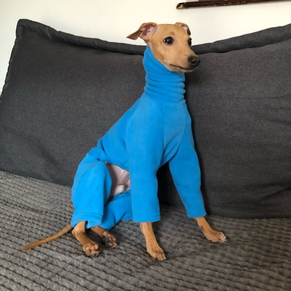 Warm Double-Sided Fleece Doberman Clothes - Pet Clothing