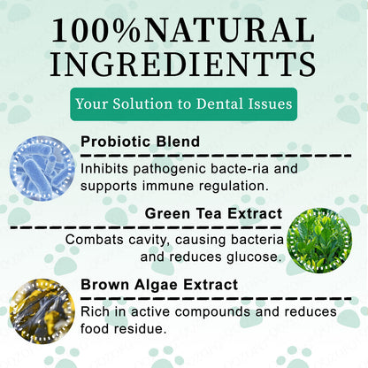Pet Teeth Cleaning Powder