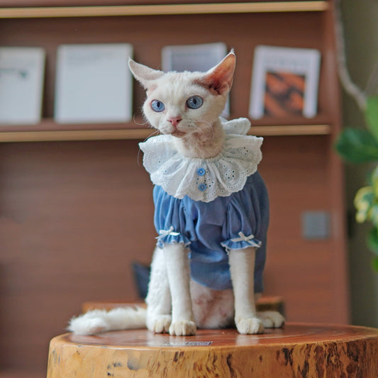 Sphynx Cat Summer Blue Dress With Lace Collar Lightweight Skin-Friendly Apparel For Hairless Cats And Devon Rex