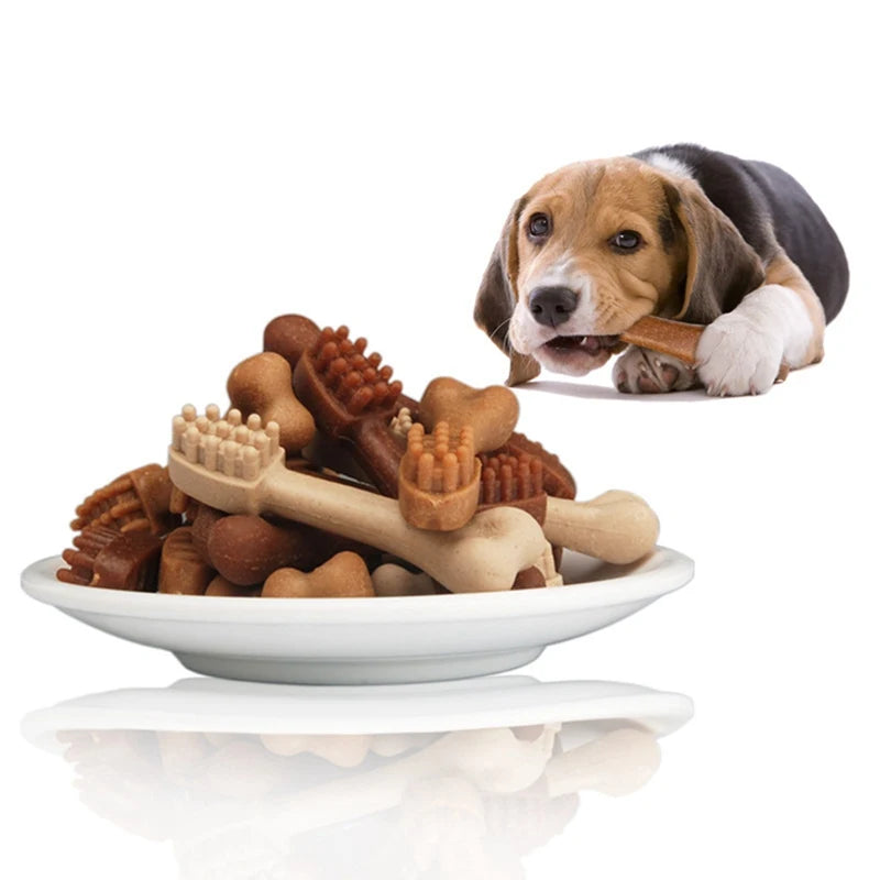 Dog Snacks