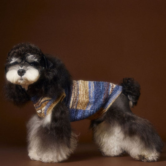 Teddy Schnauzer Bichon Rainbow Variegated Stripes Sleeveless Sweater Vest - Pet Clothing