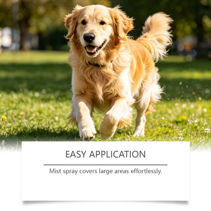 Antibacterial Wound Spray For Dogs