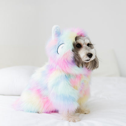 Rainbow Little Pet Jacket