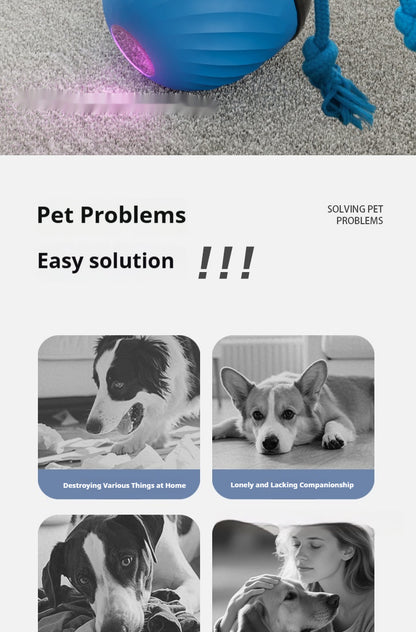 Smart, Chew-resistant Dog Toy Ball To Keep Your Pup Entertained And Help Soothe Teething Discomfort