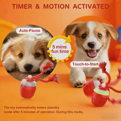 Electrically Attracted Bite-Resistant Pet Traction Ball