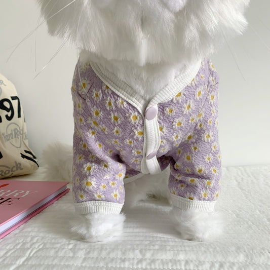 Pet Autumn and Winter Dog and Cat Clothes