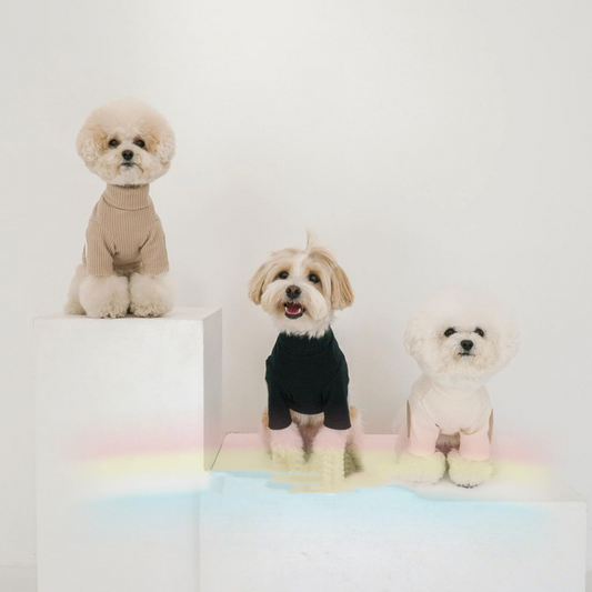 Pet Cats And Dogs Casual Collision Bottoming Clothes