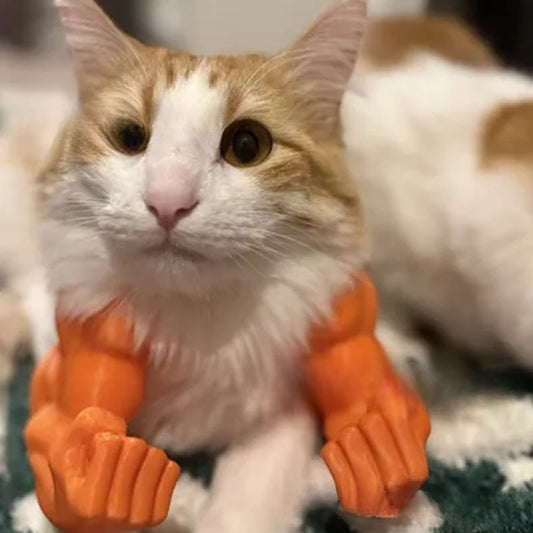 Funny Muscle Hand Developed Arm Creative Cat Hanging Items