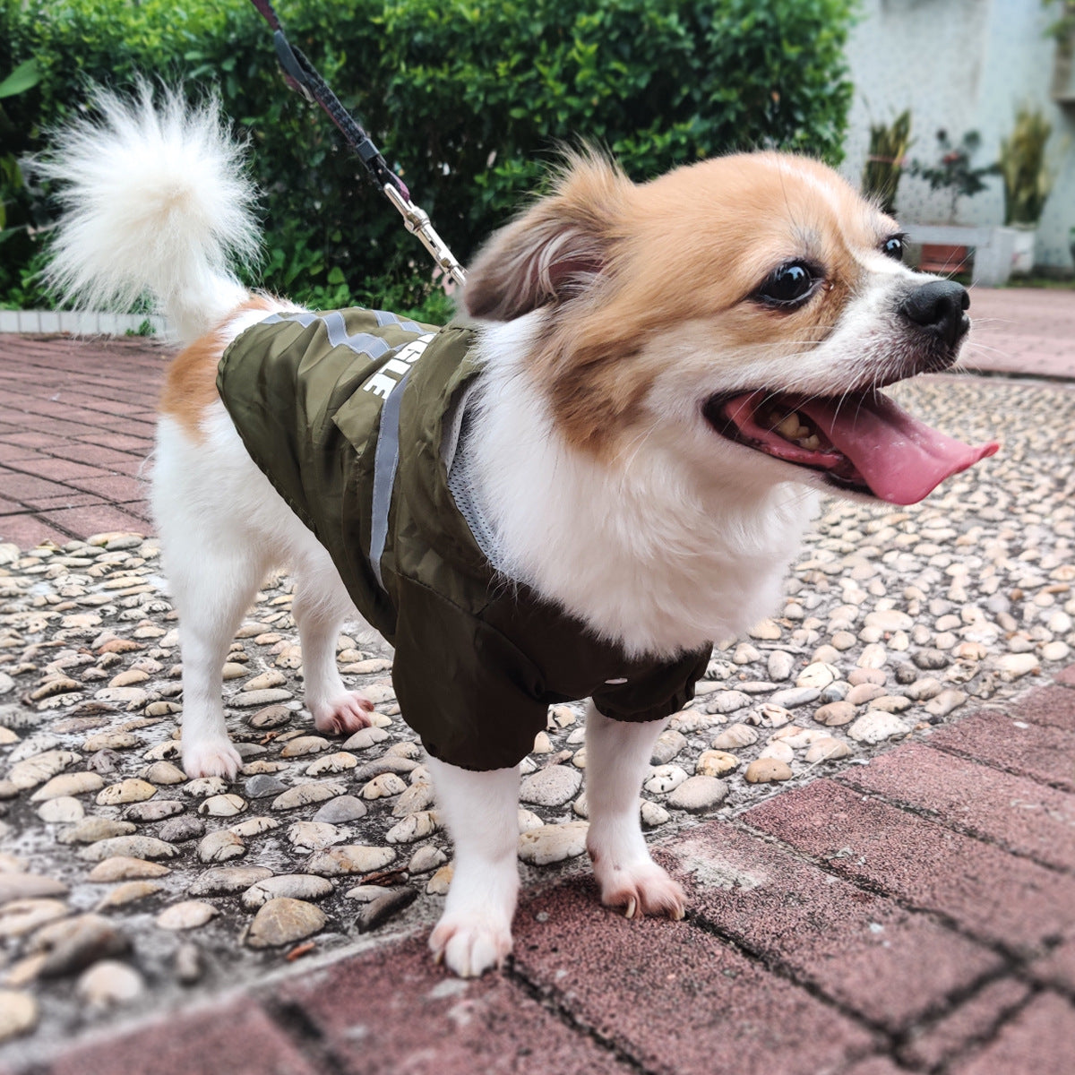 Style Pet Raincoat with Reflective Strips