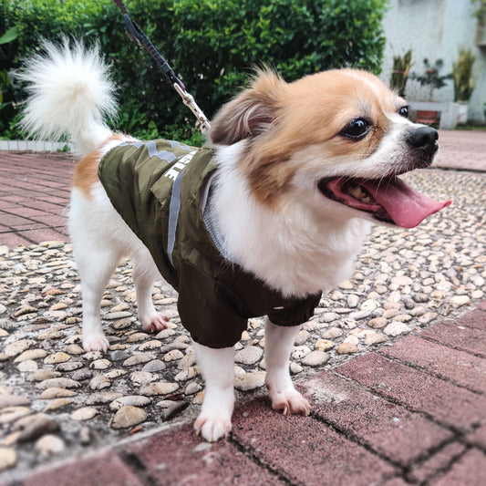 Style Pet Raincoat with Reflective Strips