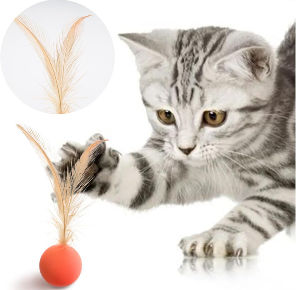 Cat and Dog Toy Bouncy Ball Jumping Ball Interactive Funny Cat Colorful High Elastic Pet Toy