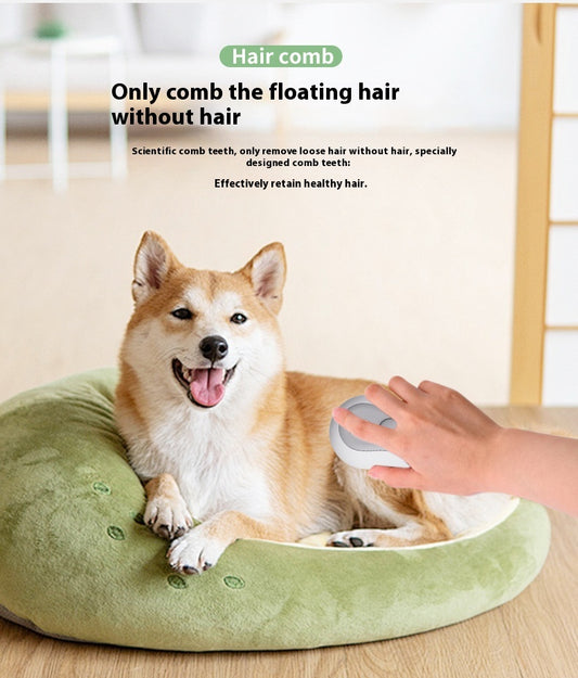Pet Spray Cat Cleaning Massage Comb Hair Device