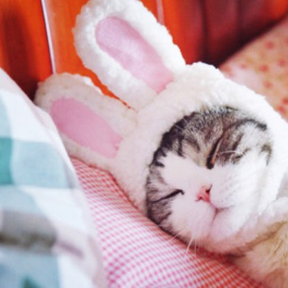Transformed Hat Rabbit Ears Pet Headdress