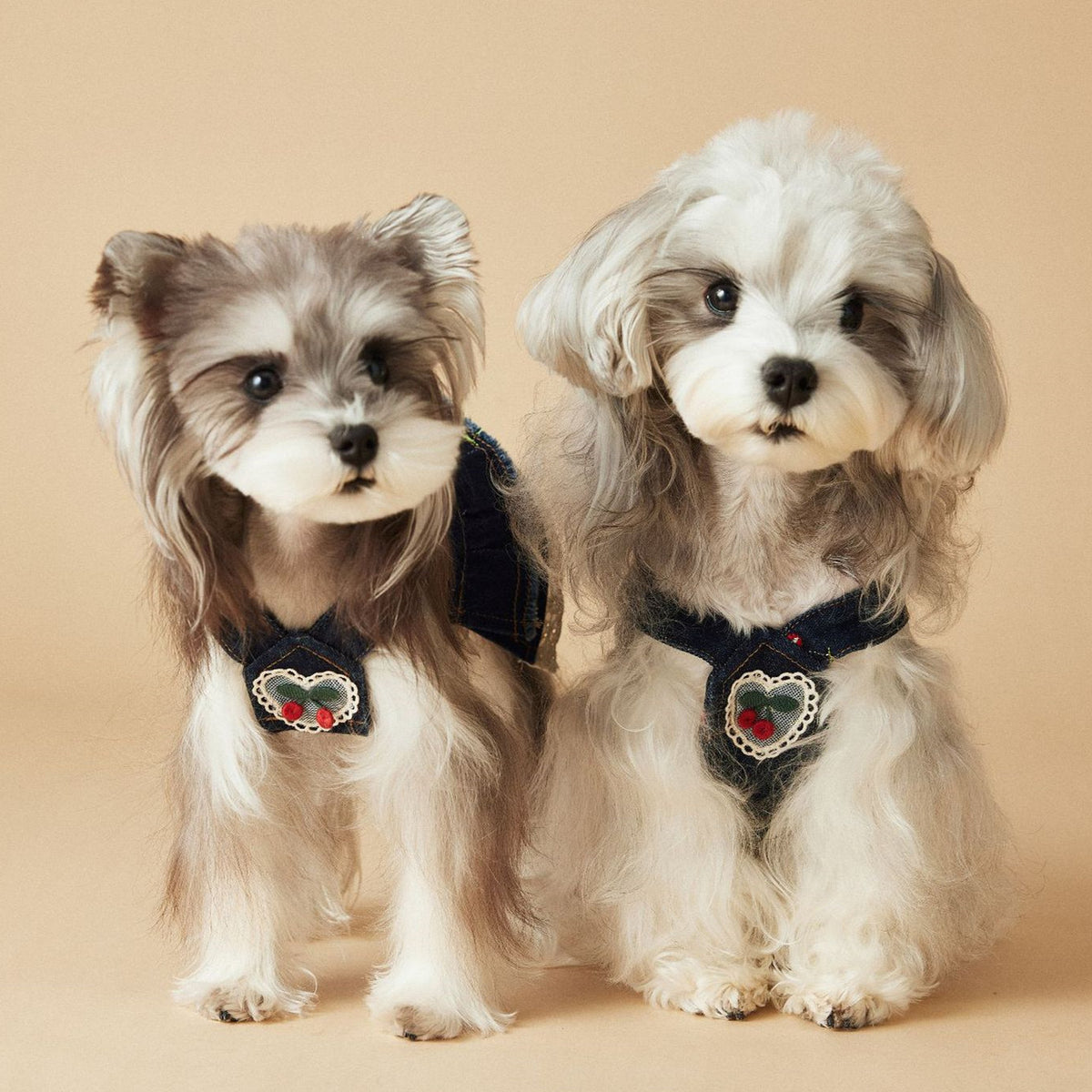 Female Canine Dog Clothes Spring And Summer Cherry Denim Dress