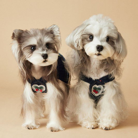 Female Canine Dog Clothes Spring And Summer Cherry Denim Dress