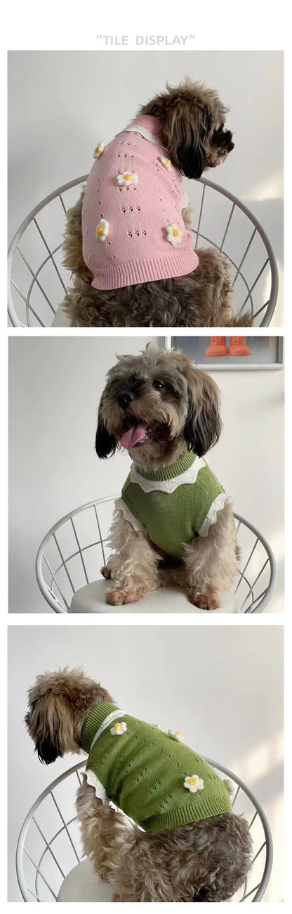 Autumn And Winter Warm And Comfortable Dog Sweater Clothes Pet Cat Clothing Flower Blossom Sweater Collection