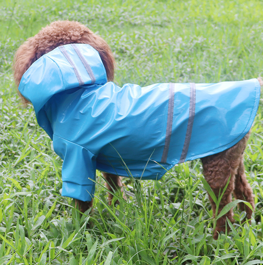 Pet Dog Clothing in Rainy Season