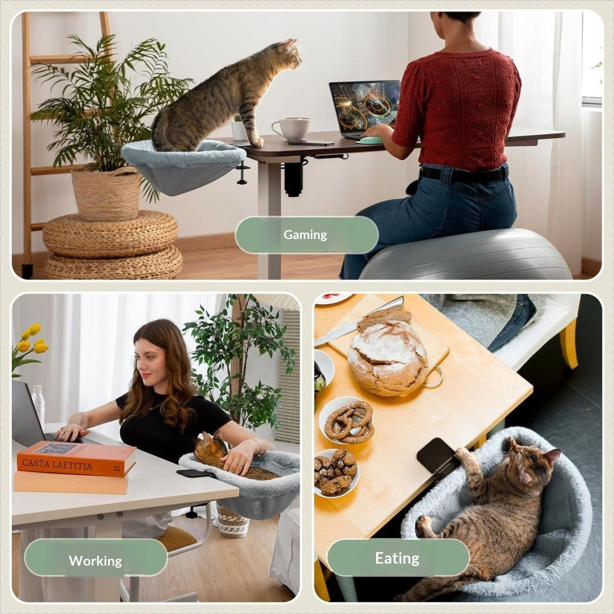 The Desk Cat Bed Can Serve As A Substitute For A Cats Desk