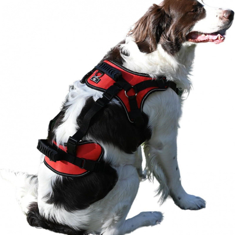 Pet Supplies Auxiliary Clothing