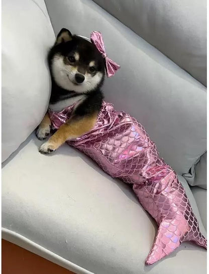 Cat Mermaid Costume Creative Cat And Dog Costumes Funny Cat Mermaid Costume Cat Mermaid Fishtail Dress Puppy Mermaid Fishtail Dress Pet Mermaid Costume Humor Funny Photo Props
