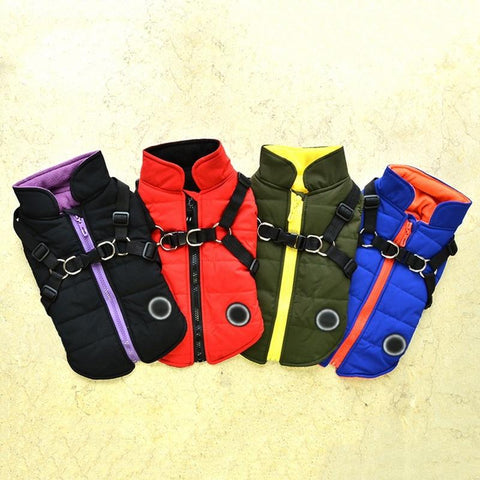 Dog zipper jacket