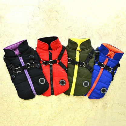 Dog zipper jacket